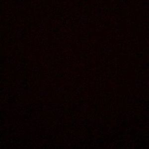 Meet your Posher, Larry